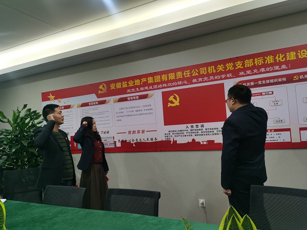 安徽鹽業(yè)地產(chǎn)集團(tuán)機(jī)關(guān)第一黨支部開(kāi)展“佩黨徽、誦誓詞、贈(zèng)黨章、上黨課”黨員教育活動(dòng)